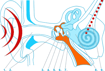 Research illustration