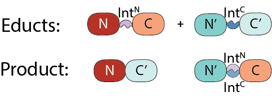 Research illustration
